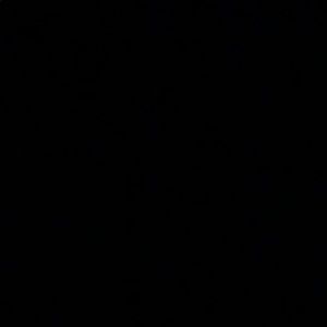 Meet your Posher, Peter